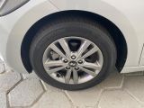Daniel Veculos | Elantra  17/18 - foto 8