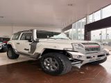 Trilha Vip Seminovos | T4 TROLLER 3.2 MANUAL TURBO DIESEL INTERCOOLER MAN 19/19 - foto 1