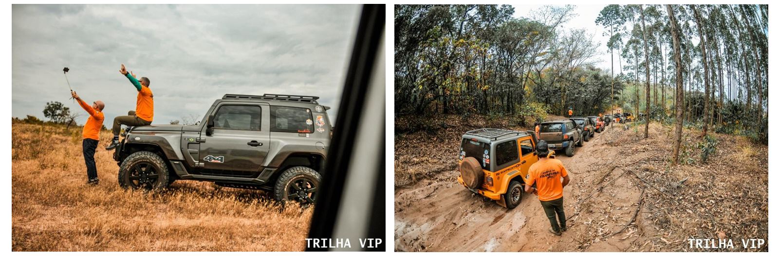 Trilha Vip Seminovos Carros Usados de Todas as Marcas e Modelos